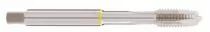 Taraud pour acier courant 80 kg gun et hlicodale
