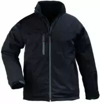 Veste homme hiver Yang