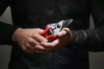 Sécateur ergonomique Felco 6