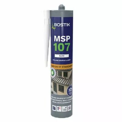 MSP 107