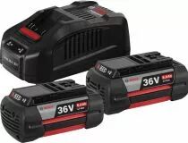 Pack 2 batteries GBA 36 V 6 A + chargeur