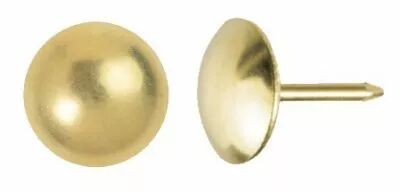 Clou d'ameublement - lentille