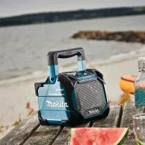 Enceinte Bluetooth&reg; DMR 203 - livr&eacute;e nue
